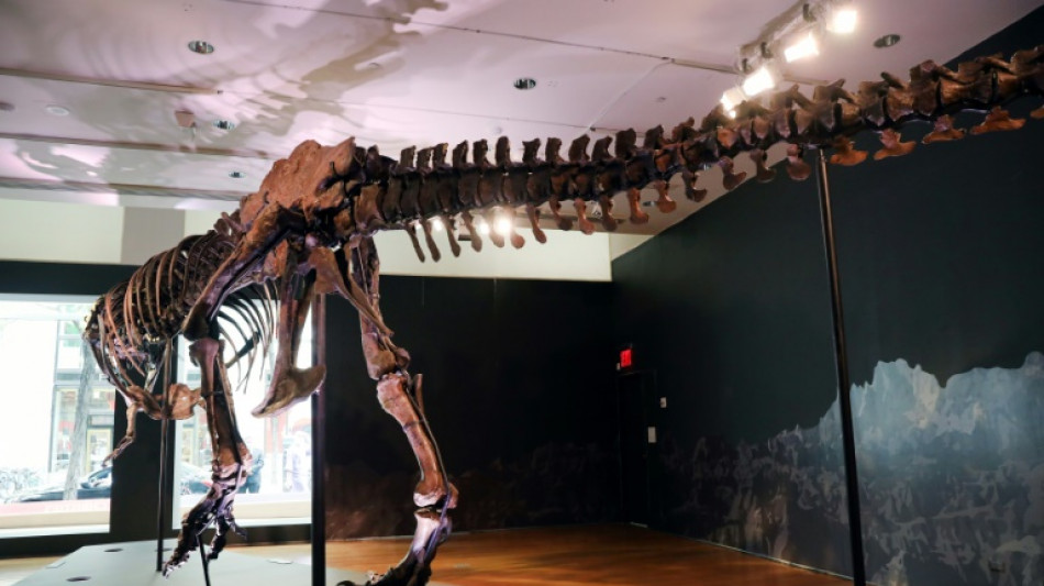 Christie's no subastará un esqueleto de Tyrannosaurus rex en Hong Kong