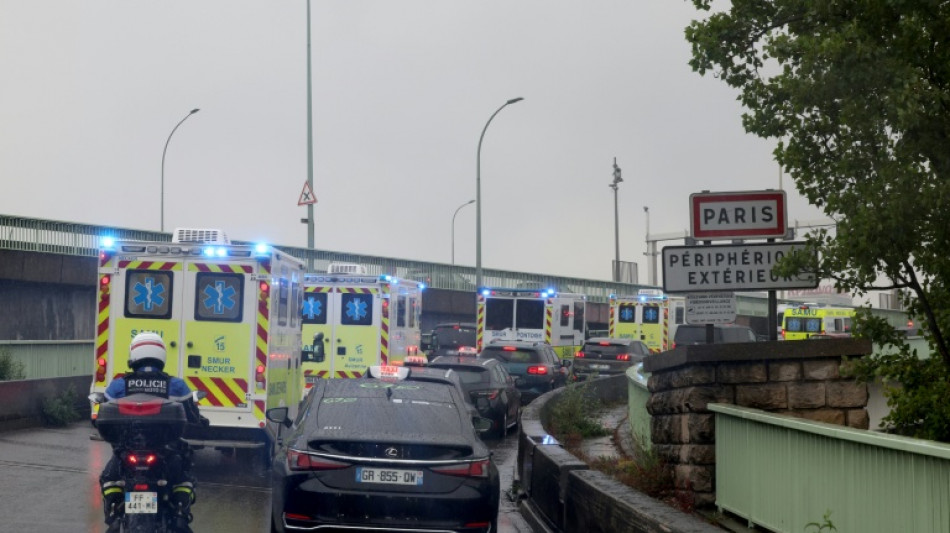  Shamonda-Virus erstmals bei Menschen entdeckt - Patient stirbt in Frankreich 