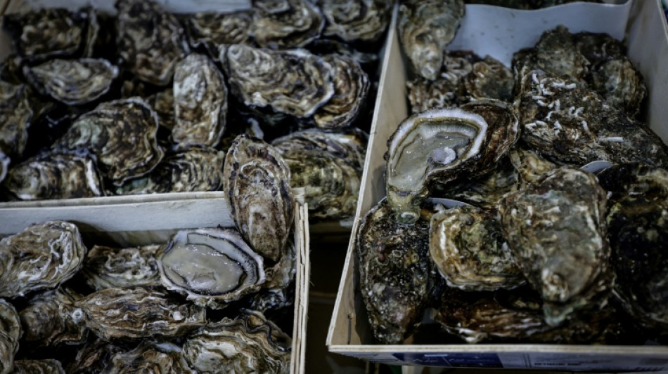  Polizei in Australien sucht Austernbdiebe - Muscheln im Wert von mehr als 200.00 Euro gestohlen 