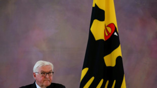Steinmeier verurteilt Angriffe auf Journalisten in Deutschland