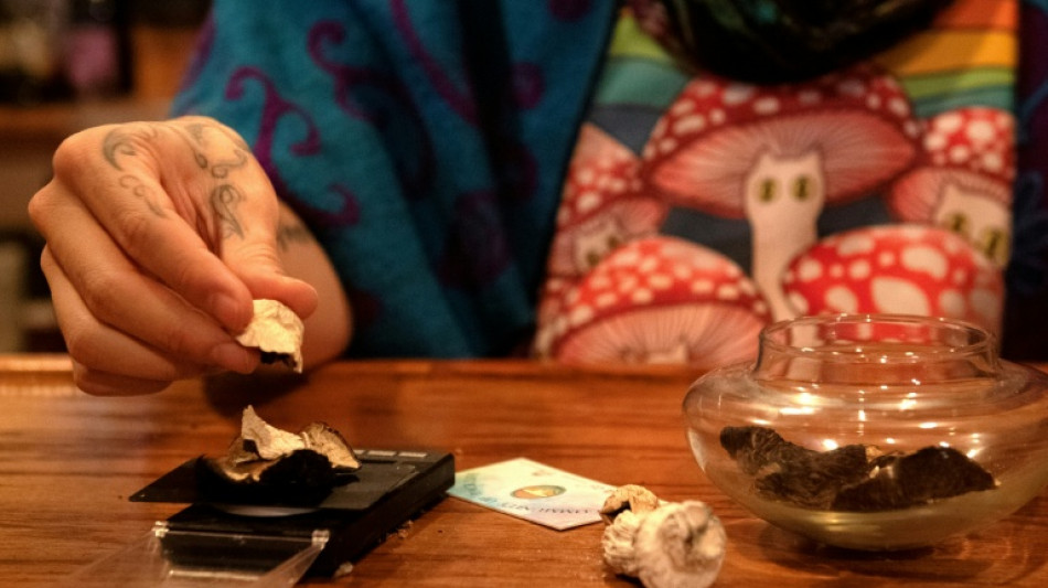  US study tests psilocybin to fight cancer side effects 