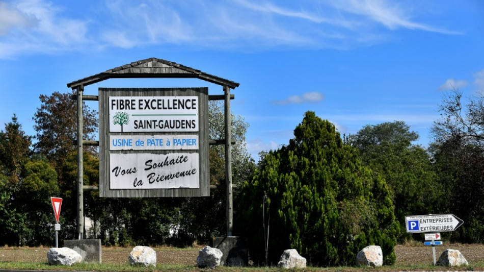  Des milliers de manifestants &agrave; Saint-Gaudens contre la fermeture de l'usine Fibre Excellence 