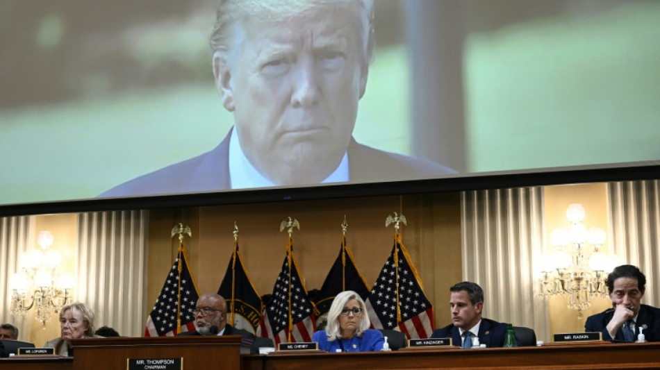 Comit&eacute; parlamentario se centra en la "mentira" del fraude electoral de Trump