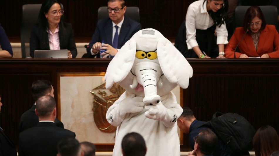  'White elephant': Colombia's anti-corruption activist turned senator 