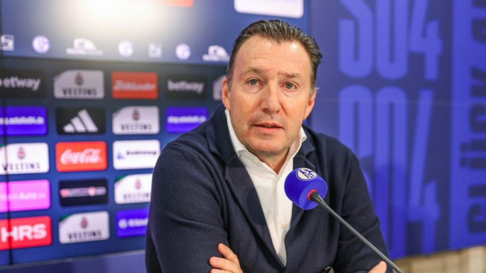 "Blaues Blut": Wilmots will Schalke in die Bundesliga f&uuml;hren