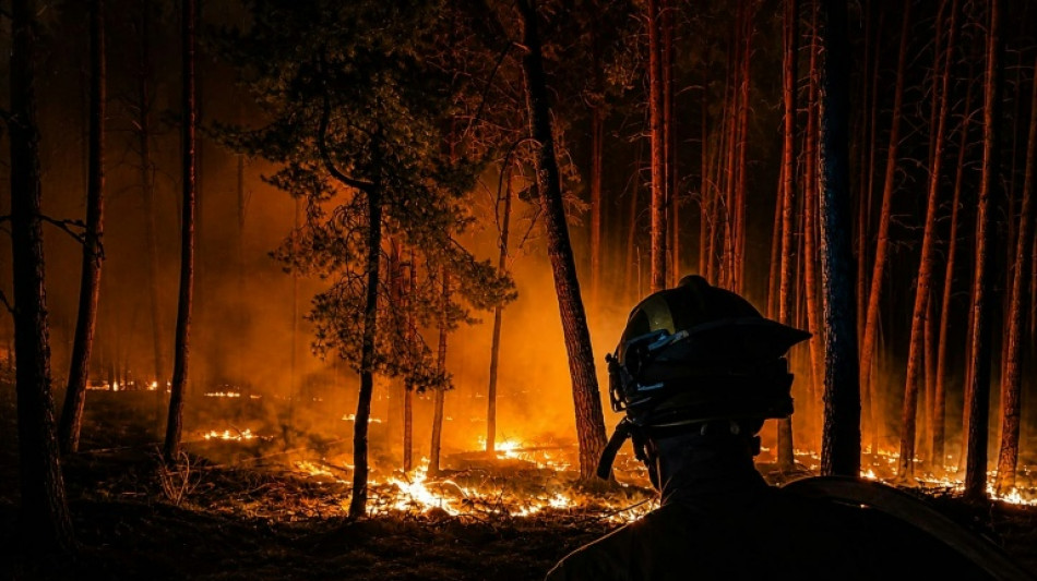  A 100 km de Madrid, 32.000 hectares br&ucirc;l&eacute;s et l'angoisse d'un feu "f&eacute;roce et sauvage" 
