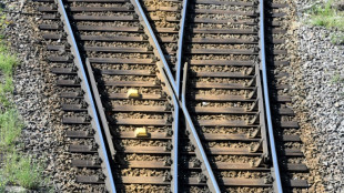 Gr&uuml;nen-Fraktion beschlie&szlig;t Reformpapier zur Deutschen Bahn