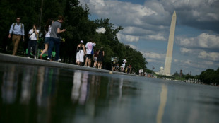 Trump blames 'terrible vandals' for Washington pool renovation woes