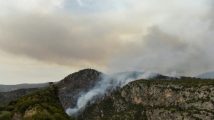 Miles de hectáreas arrasadas por incendios forestales en España