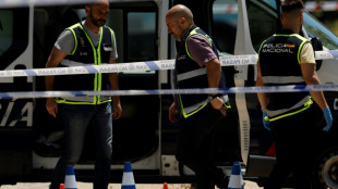 Pro-Russia ex-Ukraine MP shot dead near Madrid