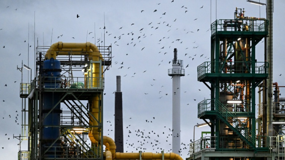  German growth forecasts slashed, Merz under pressure 