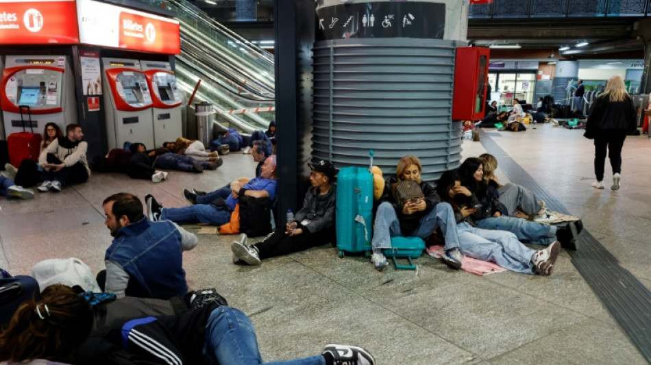 Apr&egrave;s la panne g&eacute;ante, les &eacute;nergies renouvelables sur le banc des accus&eacute;s en Espagne