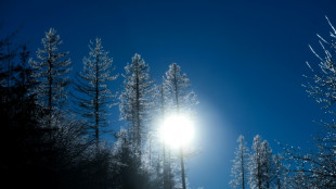 Urteil: Bisheriges Klimaschutzprogramm reicht nicht aus
