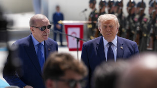 Trump, 'Nato ci ha deluso, Italia, Germania, Francia e Gb non ci hanno aiutato'
