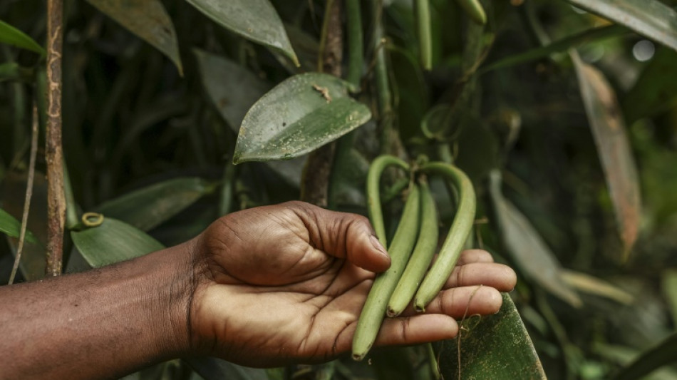  Sao Tome's niche vanilla finds far-away fans 