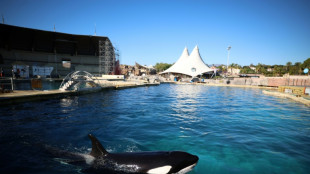 A Marineland, orques et dauphins surnagent dans un parc en décomposition