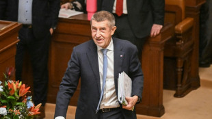 Businessman or politician? Billionaire Czech PM under fire again