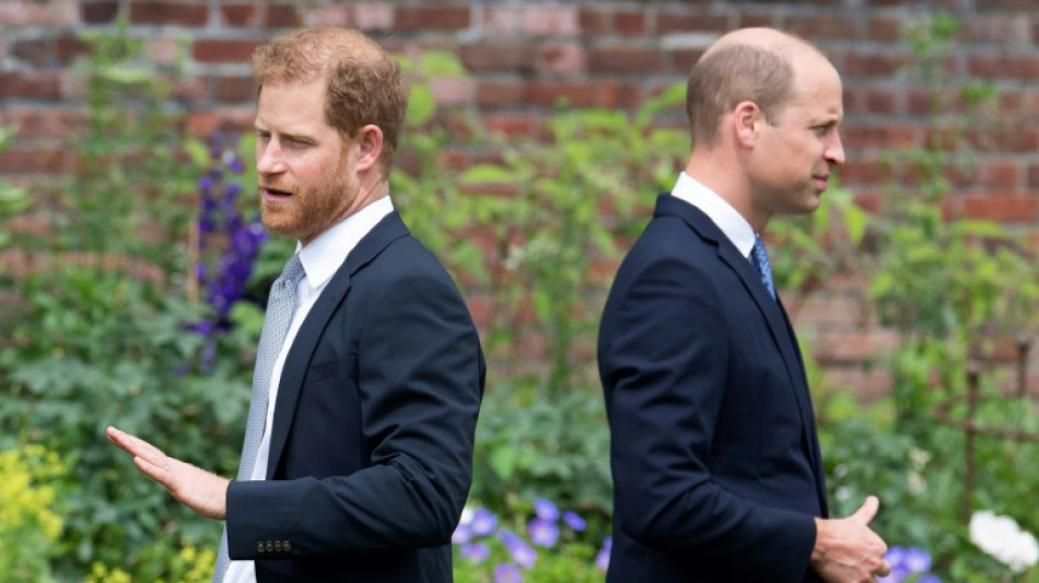  Harry e William, uma reconcilia&ccedil;&atilde;o que parece improv&aacute;vel a curto prazo 