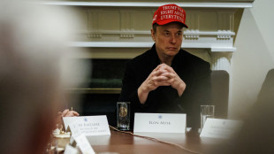 Trump supera il test Florida, Musk invece perde in Winsconsin