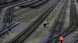 Unbekannte stehlen in Rheinland-Pfalz über hundert Tonnen Schienen von Baustelle