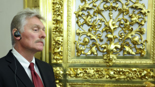 Cremlino, 'Usa risolvano in Iran e tornino a mediare per l'Ucraina'