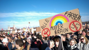 Les Allemands manifestent &agrave; nouveau contre l'extr&ecirc;me droite, 250.000 &agrave; Munich