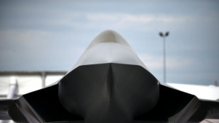 Germany's Merz casts doubt on European fighter jet plan