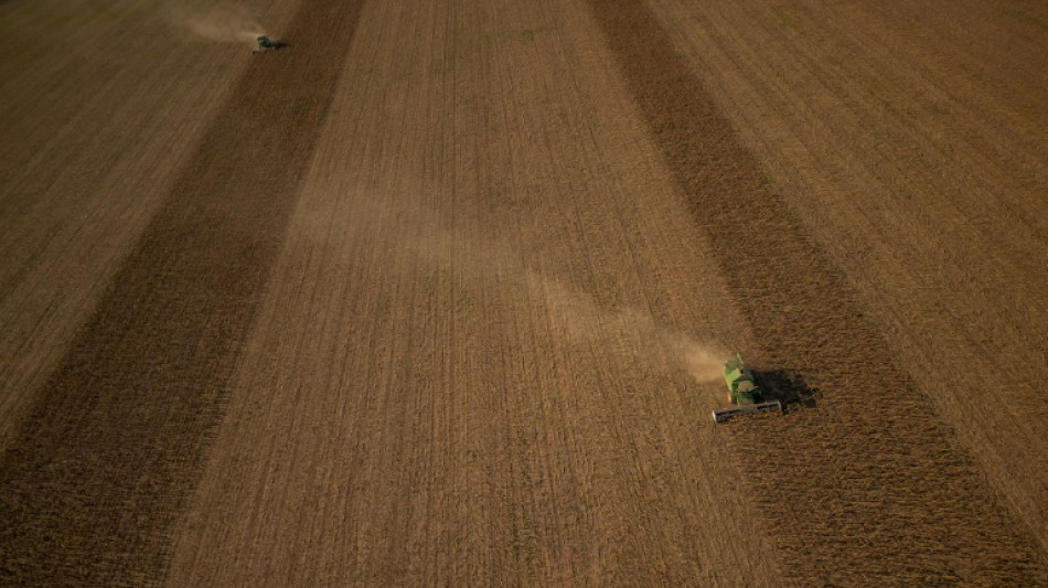 Warsaw, Kyiv make breakthrough on Ukrainian grain transit