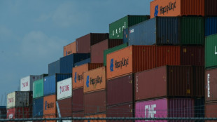 Dans les ports am&eacute;ricains, le d&eacute;luge d'importations ne ralentit pas