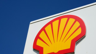Umweltgruppen gegen Ölkonzern Shell: Berufungsprozess beginnt in den Niederlanden