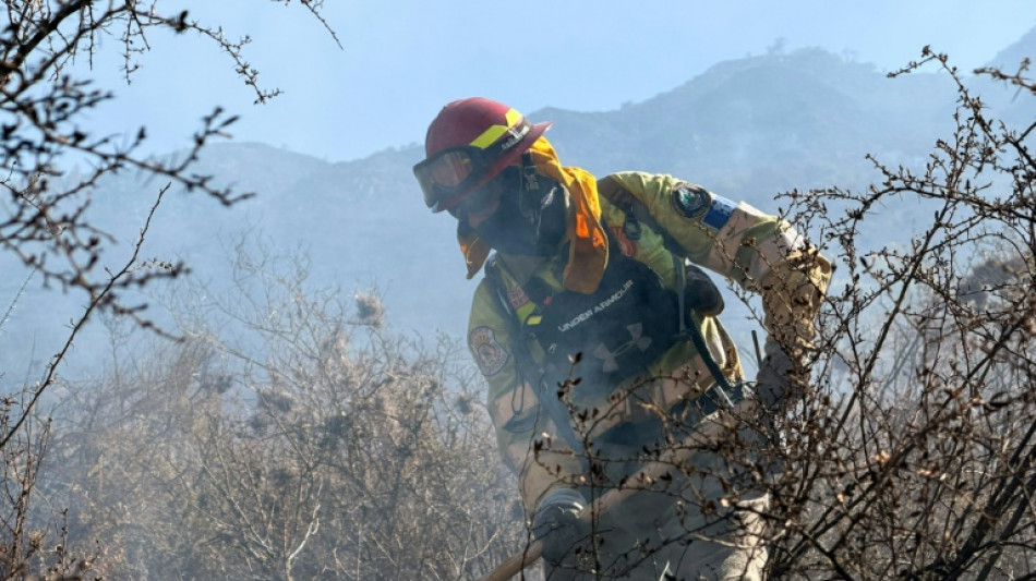  Extinguen un incendio que amenazaba la principal v&iacute;a de acceso a Machu Picchu 