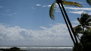 En Guadeloupe, l'aménagement du littoral à l'épreuve d'une érosion déjà très présente