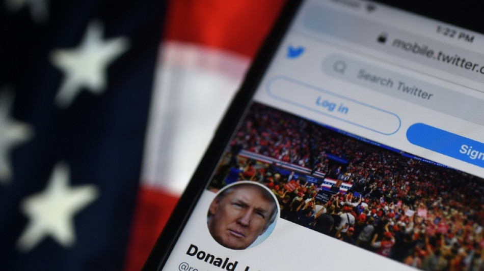 Trump Twitter account reappers after Musk poll