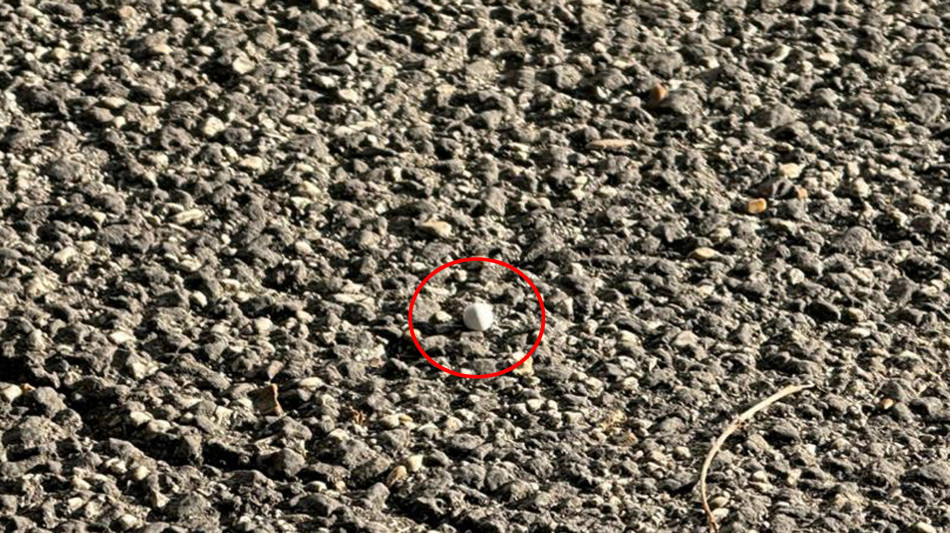 Ferita a Roma, 'tristezza per fermato cos&igrave; giovane e imbevuto d'odio'