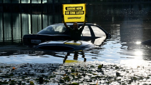 Greenpeace wirft deutschen Autobauern mangelnde Effizienz vor