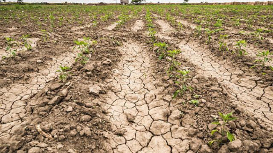 La siccità minaccia l'Europa,colpito soprattutto il Mediterraneo