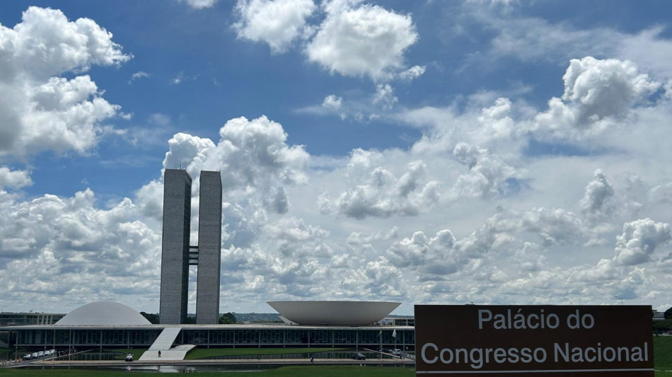  Il Brasile punta su un'azienda statale per lo sfruttamento delle terre rare 