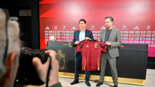 La selecci&oacute;n belga ser&aacute; dirigida por el franc&eacute;s Rudi Garcia