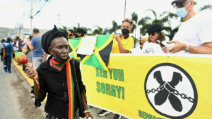 Proteste bei Besuch von Prinz William und Kate in Jamaika