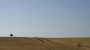 Sequía récord a mediados de julio en Europa y en el Mediterráneo