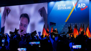 Elon Musk, repelente ou &iacute;m&atilde; para os clientes da Tesla?