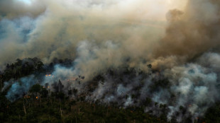 La deforestación de la Amazonía brasileña alcanza récord en enero