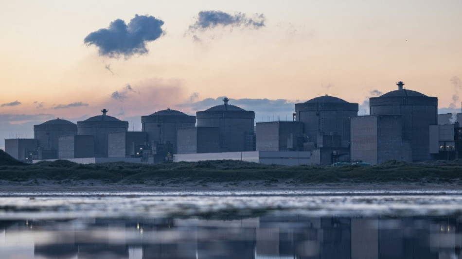  Jellyfish force shutdown of three reactors at French nuclear plant 