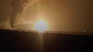 Houthi, 'salgono a 58 i morti dei raid Usa nello Yemen'