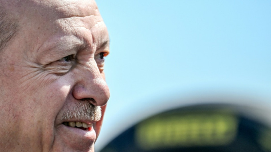  Erdogan busca aprovechar la cumbre de la OTAN para reforzar la influencia de Turqu&iacute;a 
