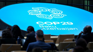 Climat: les pays pauvres s'estiment flou&eacute;s et protestent &agrave; Bakou