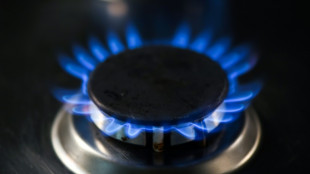 Germany deploys 200-bn-euro shield in 'energy war'