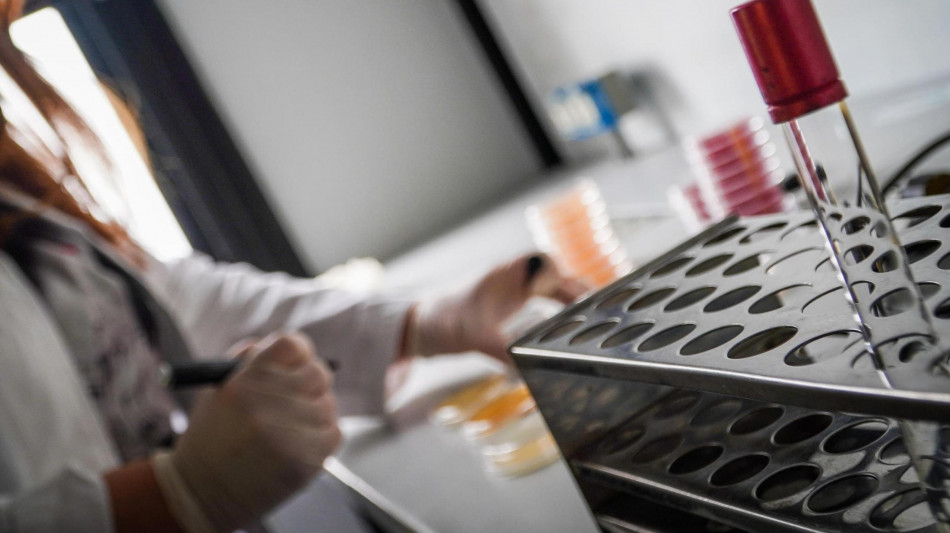 Cambiano forma con la sola luce Uv i materiali smart del futuro