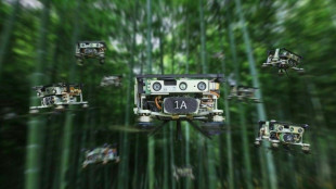 Prueban con éxito enjambres de drones autónomos en plena naturaleza