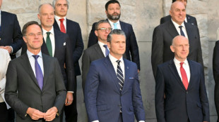 Hausse des budgets de d&eacute;fense: l'Otan "proche" d'un accord sur les demandes de Trump 